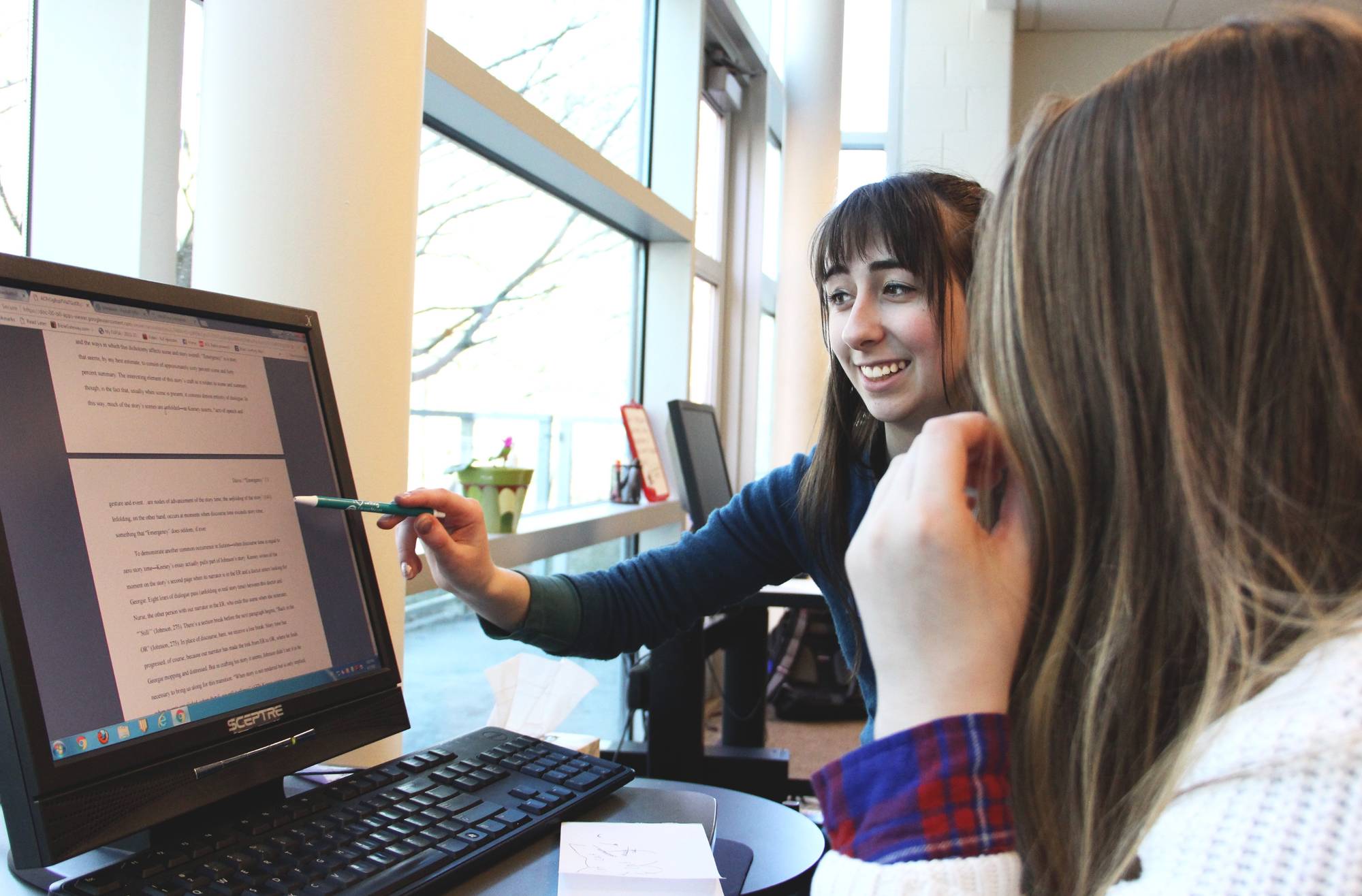 two consultants working together at a computer